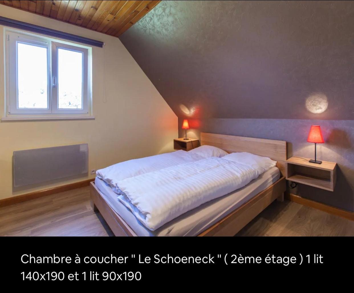 הוילה Dambach Le Wineck מראה חיצוני תמונה